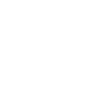 Estrella Decorativa